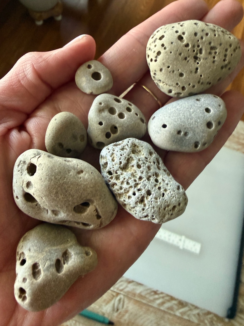 ☀️8 Vesicular Basalt Natural Stones☀️ ~5”- 1.5”